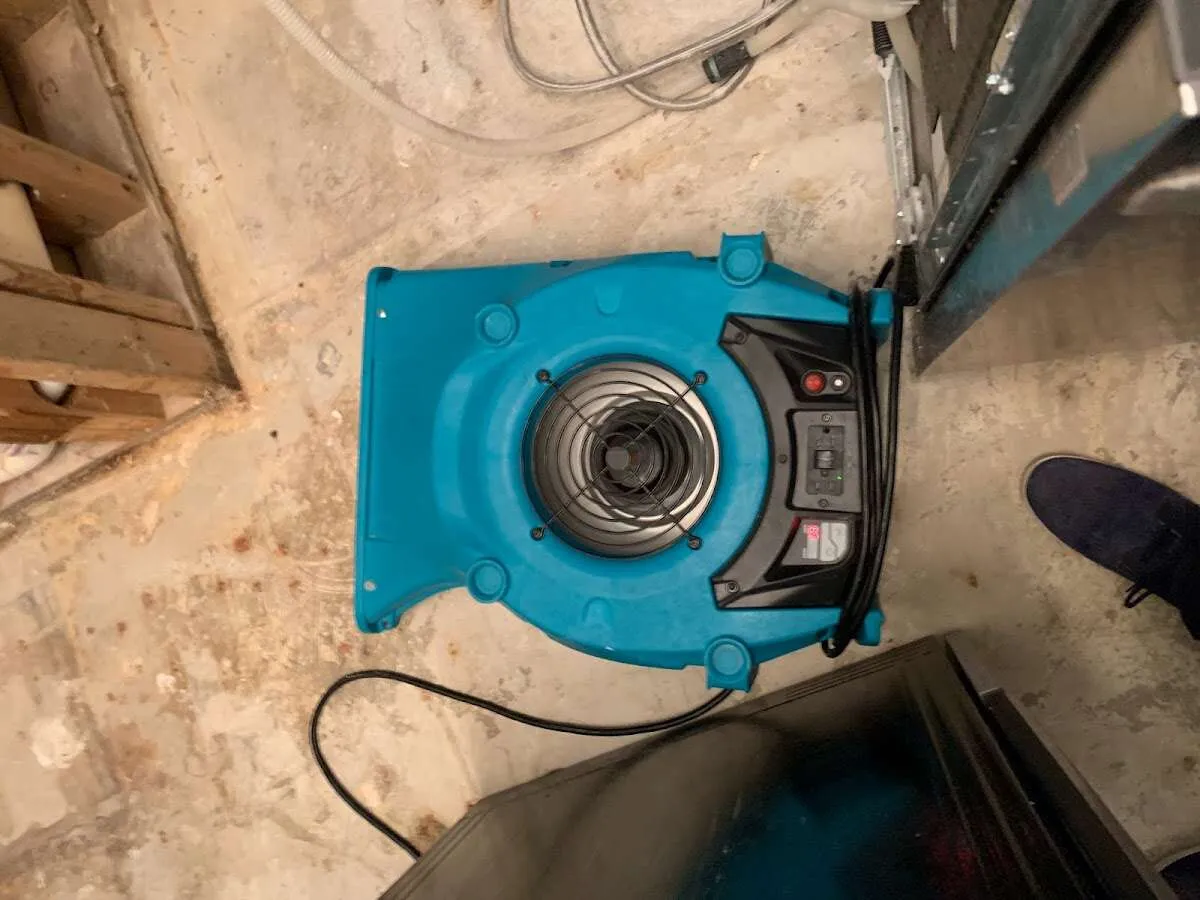 Air mover drying equipment for Mold Remediation & Removal in Rancho Murieta